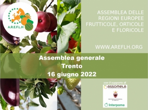 Assemblea generale dell'AREFLH a Trento