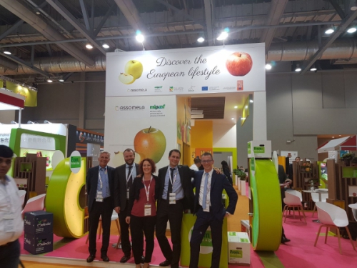 Ad Asia Fruit Logistica il punto sull'export delle mele italiane in attesa delle missioni degli ispettori di Vietnam e Taiwan