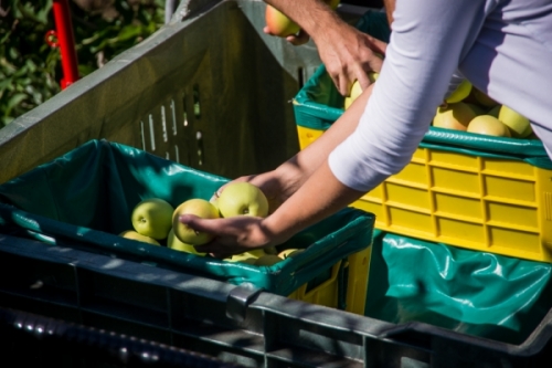 La situazione di mercato in Italia aggiornata ad Aprile