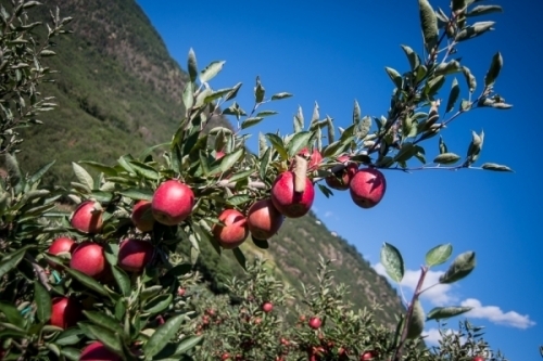 Al 1° marzo perfetto allineamento tra produzione e de-stoccaggio