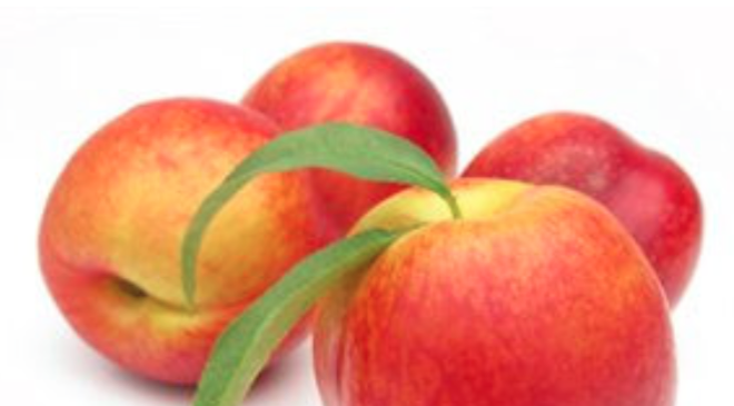 Assomela Area Soci - Archivio Pubblicazione mela