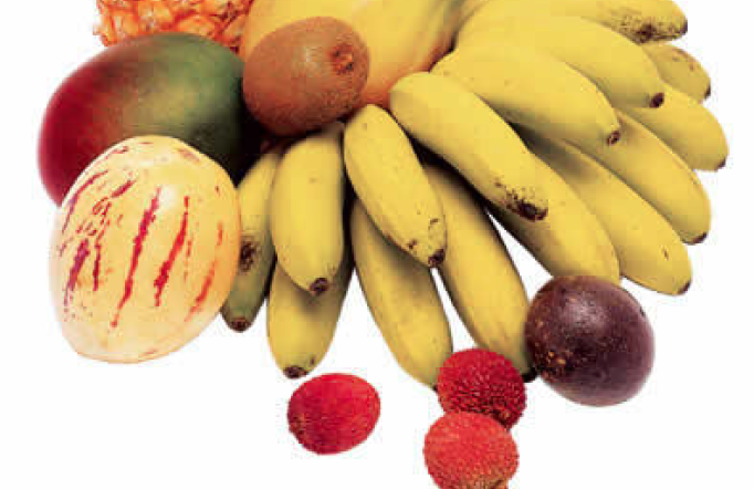 Assomela Area Soci - Archivio Pubblicazione mela