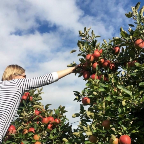 Post IMG